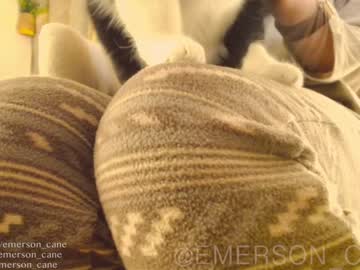 free nude cam girl emersoncane image #510526