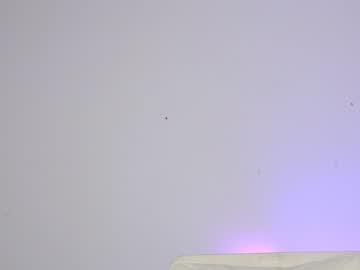 free nude cam girl sapphirealice image #1597425
