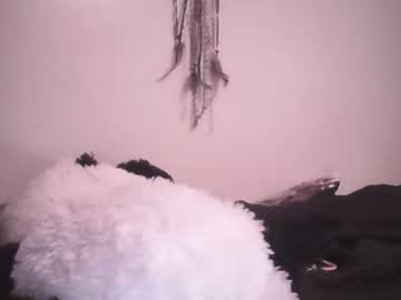 free nude cam girl dixilanddelight0227 image #3296603