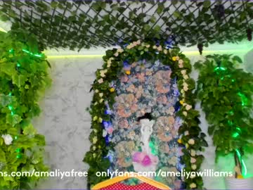 free nude cam girl amelia__williams image #1432574