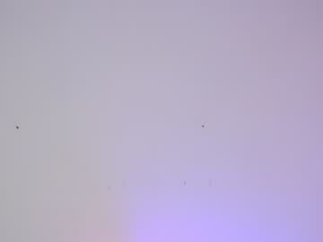 free nude cam girl sapphirealice image #1411807