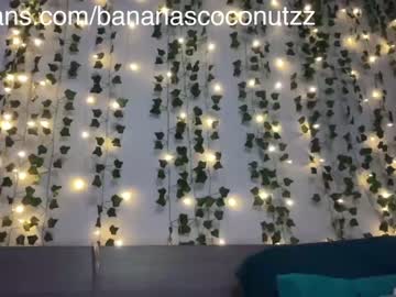 free nude cam girl bananascoconutz image #5636380