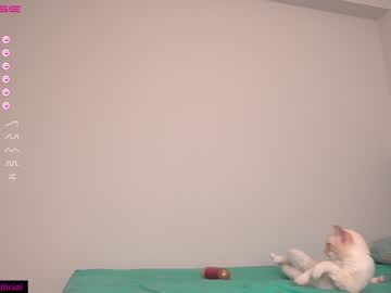 free nude cam girl the_hot_ruby image #2189893