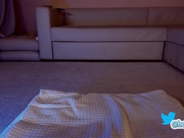 free nude cam girl hollyextra image #3350041