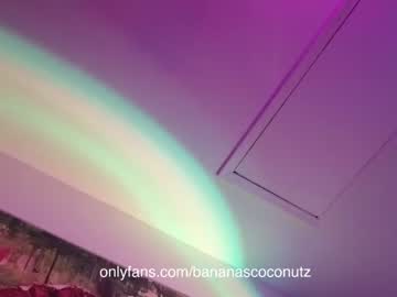 free nude cam girl bananascoconutz image #4404477