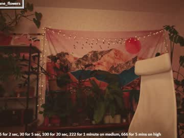 free nude cam girl jane_flowers image #5037619