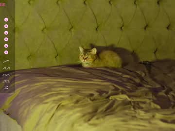 free nude cam girl angeellina image #5282136