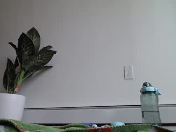 free nude cam girl primroseluvsme image #4616552