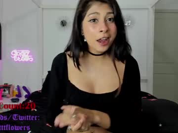 free nude cam girl violetttflowers image #1404914