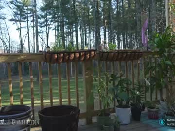free nude cam girl tantric_eden_ image #4187024