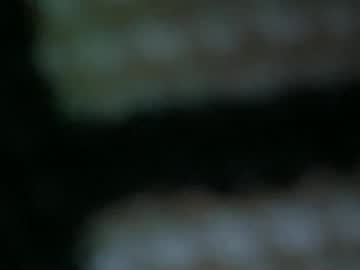 free nude cam girl pootie_tangs_ex image #1465144