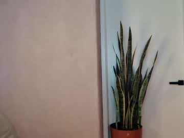 free nude cam girl nika_la image #1546654