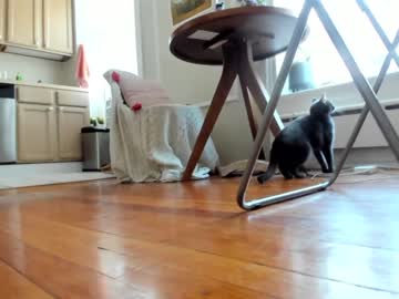 free nude cam girl neon_felix image #2303064