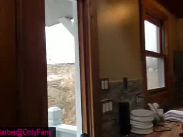 free nude cam girl rvlifebarbie image #3686049