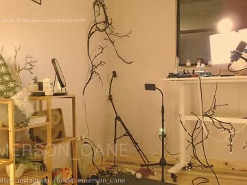 free nude cam girl emersoncane image #3078820