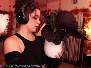 free nude cam girl evelynpiers image #5519598