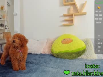 free nude cam girl _blaackberry image #1148642