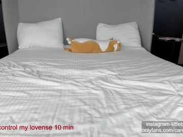 free nude cam girl carolinaherera image #5597973