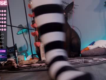 free nude cam girl careful_i_bite image #3829162