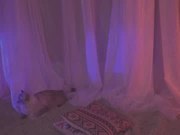 free nude cam girl hannasthesia image #6067222