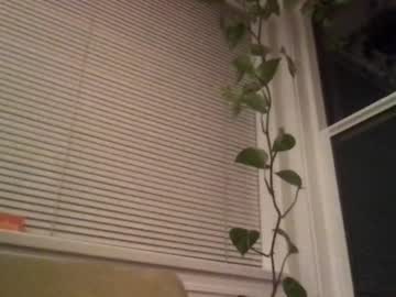 free nude cam girl bambis_honeypot image #920840