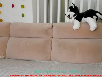 free nude cam girl coy_amina image #203945