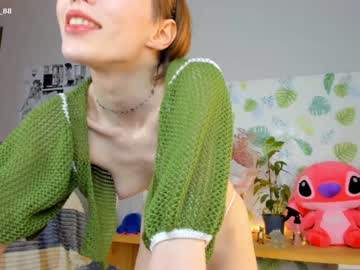 free nude cam girl littlething88 image #627493