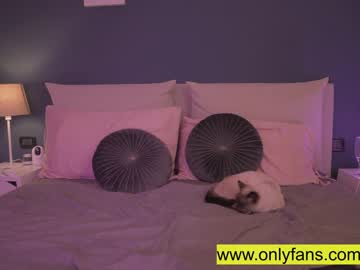 free nude cam girl ocicat image #919154