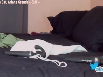 free nude cam girl hollyextra image #2260114
