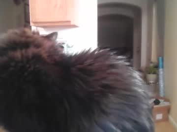 free nude cam girl hunnie_babeee image #2900763
