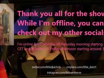 free nude cam girl little_dutch image #2294624